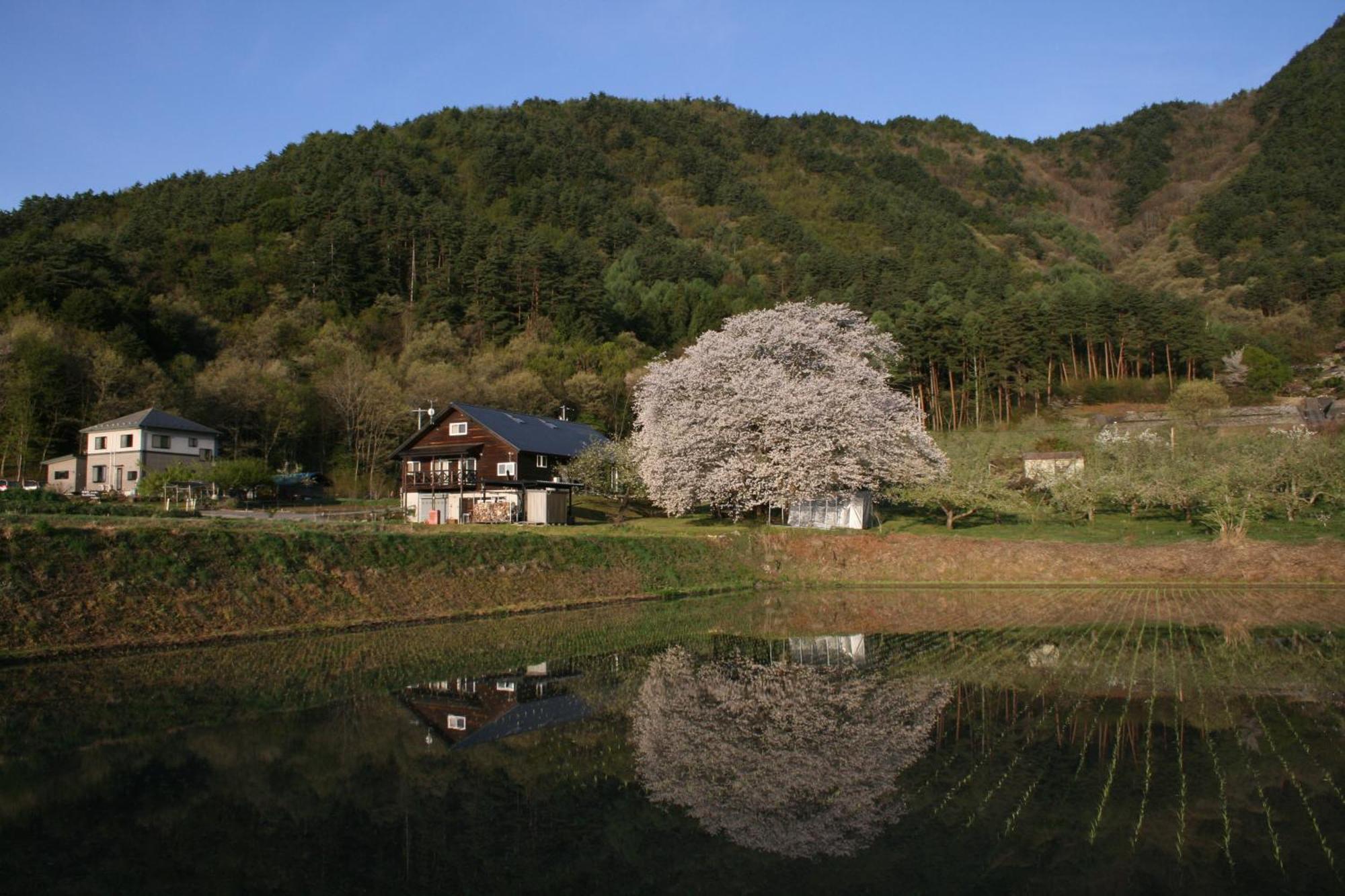 Azumino Backpackers 山の風 호텔 Matsukawa 외부 사진